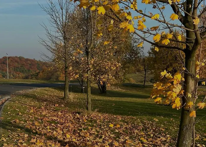 Nowy Na Polu Golfowym Paczółtowice Apartament